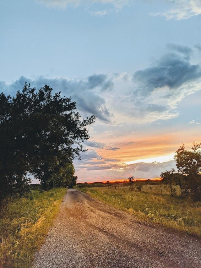 Texas2.jpg